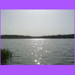 Lake Waburg 2.jpg